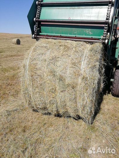 Сено в тюках