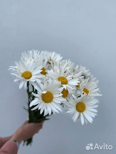 Букет из ромашек