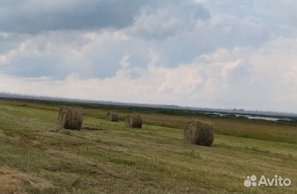 Сено в рулонах и тюках с доставкой