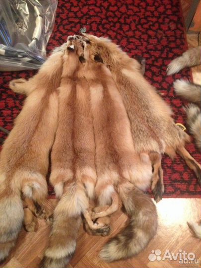 Шкурки лисьи