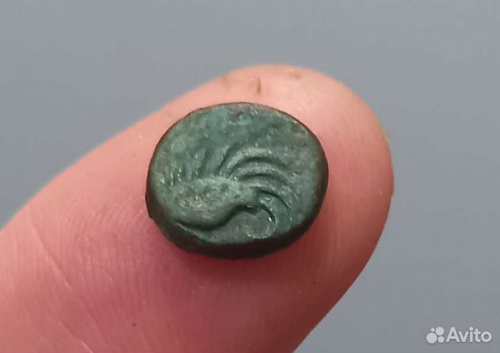 Монета Боспорского царства Крыло Триножник