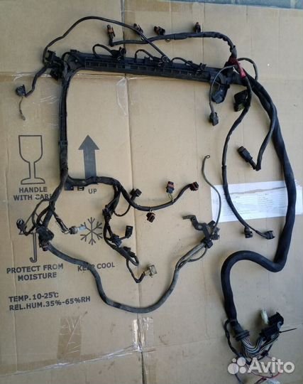 Жгут моторный мерседес S 220 А 2205404505