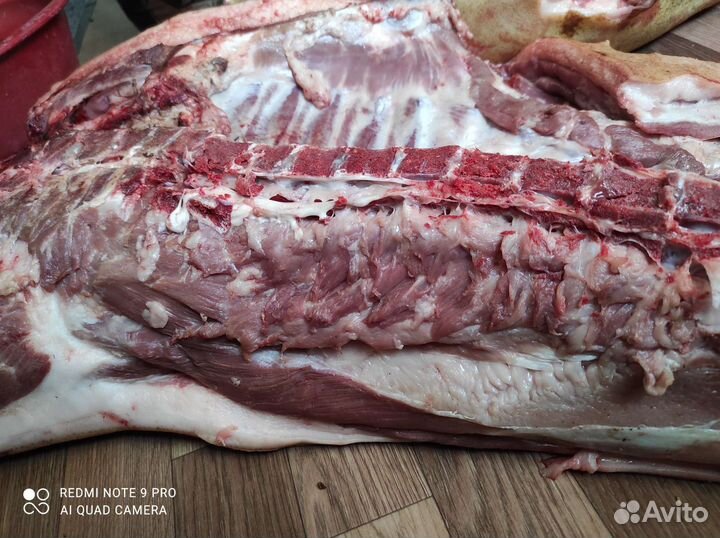 Мясо свинина домашняя