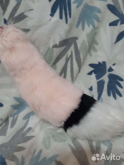 Фурсьют хвост