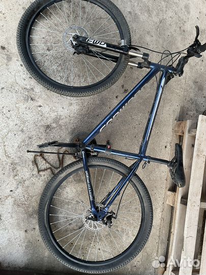 Forward sporting 27.5 disk 3.0