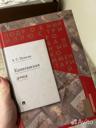 Книги. Подробный иллюстрированный комментарий