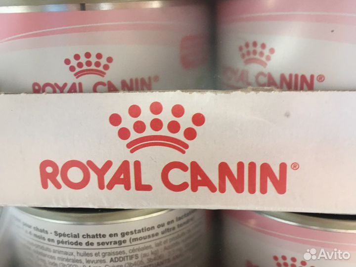 Корм для кошек Royal canin babycat mother мусс