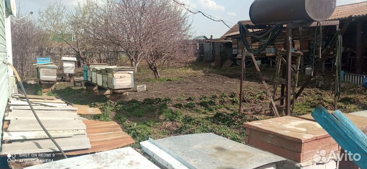 Пчелы в улье с пасеки