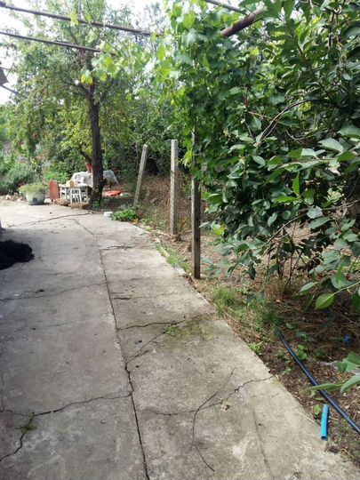 Дом 49 м² на участке 11 сот.