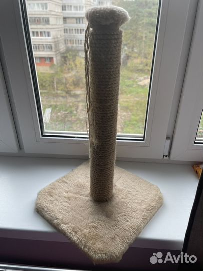 Когтеточка