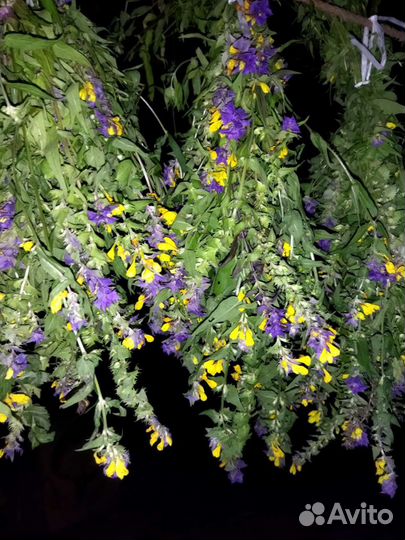 Лечебные травы