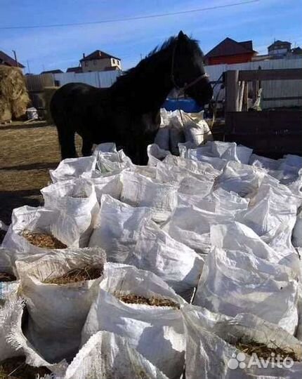 Навоз с доставкой