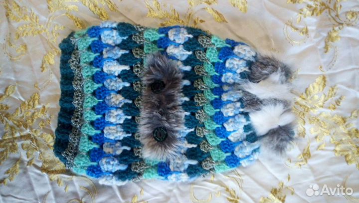 Одежда для животных, игрушки