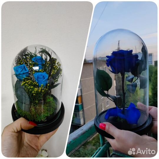 Роза в колбе. Цветы букеты. Подарки. Арт238, от