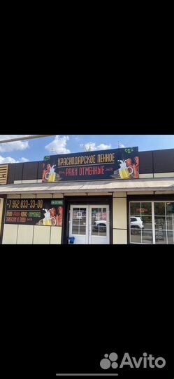 Готовый бизнес магазин разливного пива - раковая