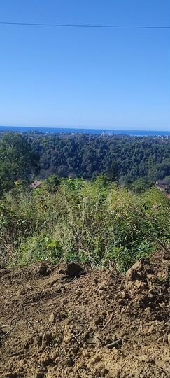 Участок 23 сот. (ИЖС)