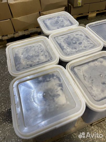 Свежий мёд оптом Цветочный Опт