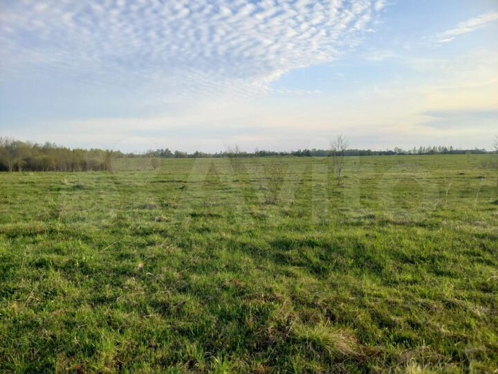 Участок 17,73 га (СНТ, ДНП)