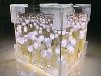 Куб ночник светящийся из тюльпанов