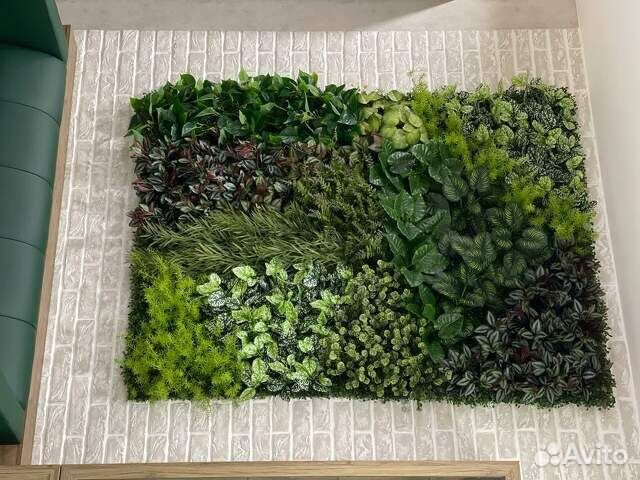 Озеленение интерьера, ресторанов, квартир