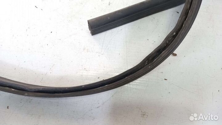 Уплотнитель капота Mercedes W251 R350