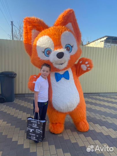 Экспресс поздравление аниматор