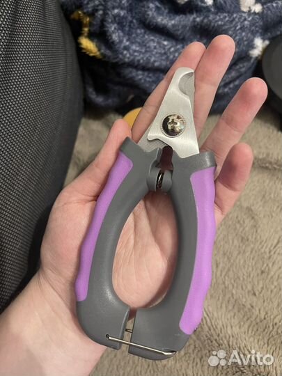 Вещи для животных