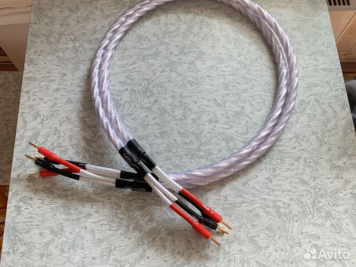 QED Genesis кабель акустический и перемычки