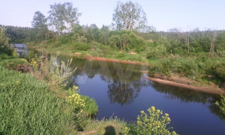 Участок 55 сот. (ИЖС)