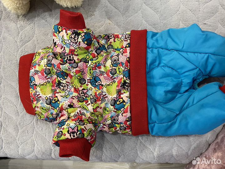 Костюм на собачку