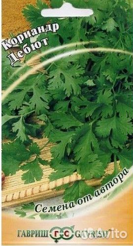 Семена Кориандр Дебют
