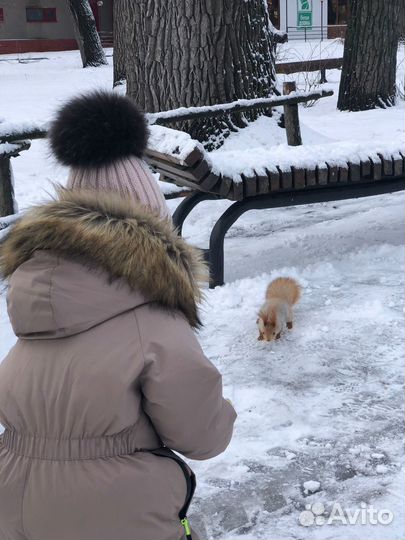 Зимний комбинезон