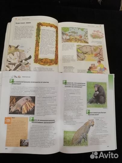 Детская энциклопедия