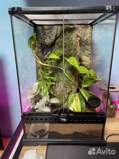 Террариум exo terra 30*30*45