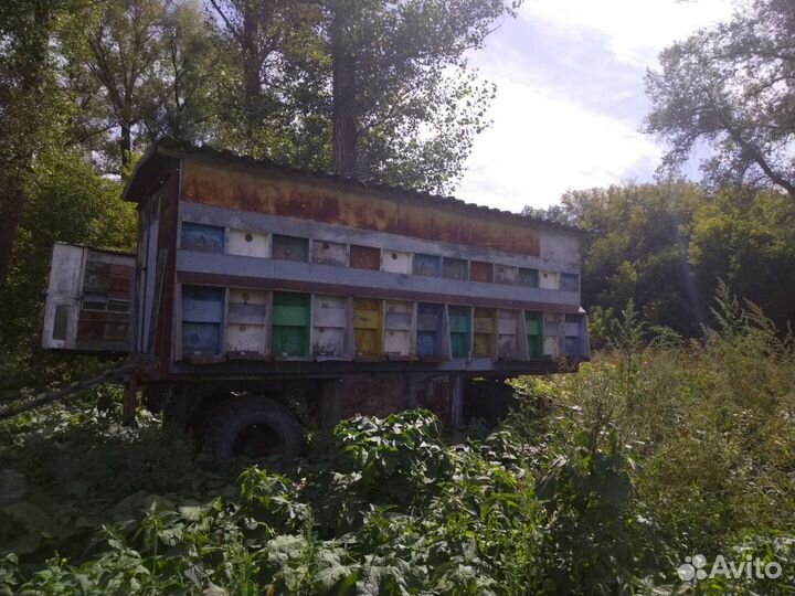 Павильон для пчел