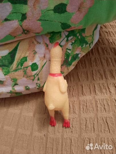 Игрушка для собак пищалка