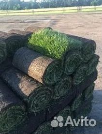 Укладка газона