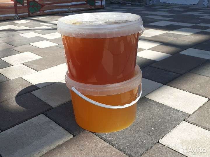 Мед луговой