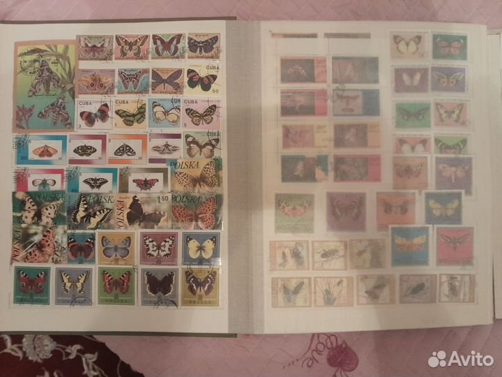 Марки фауна альбом бабочки