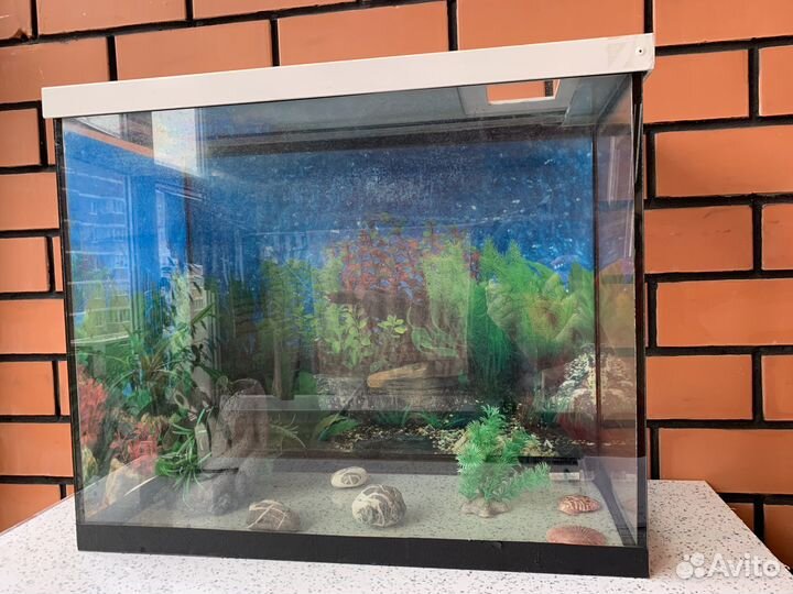 Аквариум