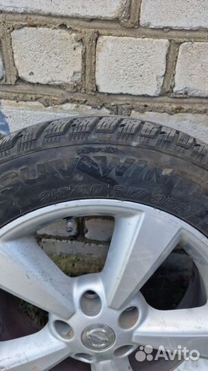 Tigar SUV Winter 215/60 R17