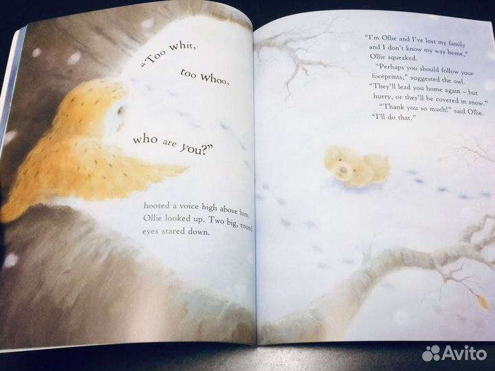 Детские книги английском языке Дональдсон