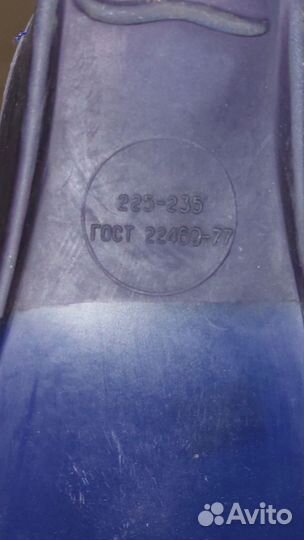 Ласты дельфин