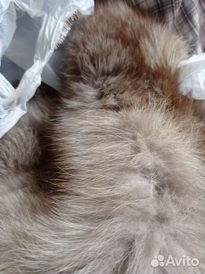 Мех натуральный