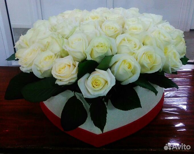 Цветы. Букет. 51 роза 50см. Доставка