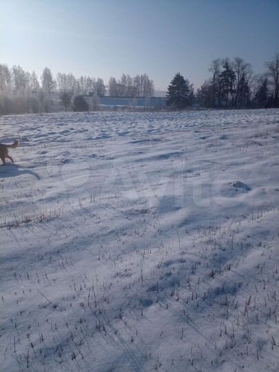 Участок 6 га (СНТ, ДНП)