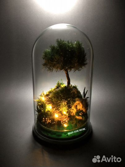 Моссариум - флорариум