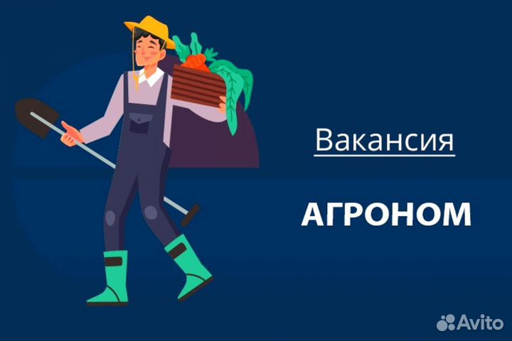 Агроном