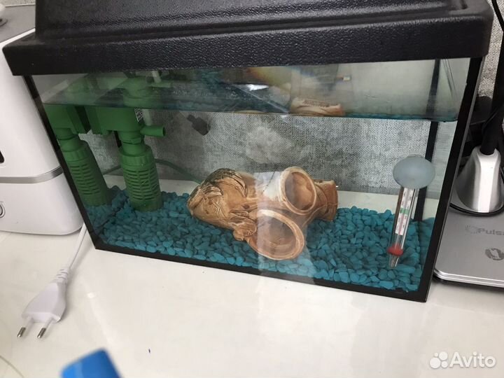 Аквариум для рыб