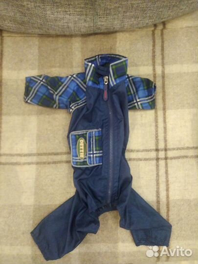 Комбезы для мелких собак